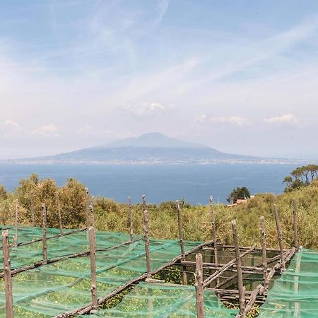 Villa La Limonaia Sorrento Exterior photo